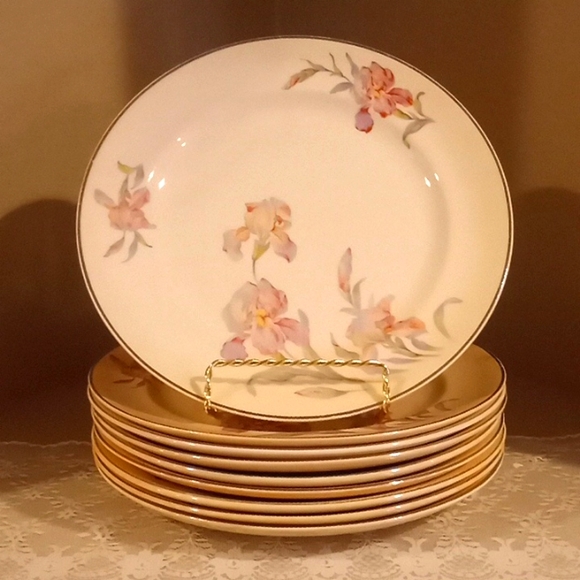 Vintage Universal Cambridge Iris Plate Bundle - 9 - 9.25" Dinner Plates - Picture 5 of 11